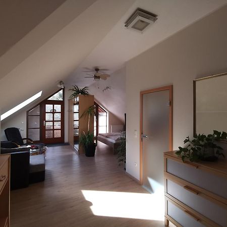 Studio Und Apartment Auf Dem Pferdehof Burgpreppach Esterno foto