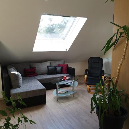 Studio Und Apartment Auf Dem Pferdehof Burgpreppach Esterno foto