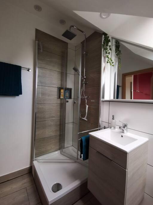 Studio Und Apartment Auf Dem Pferdehof Burgpreppach Esterno foto