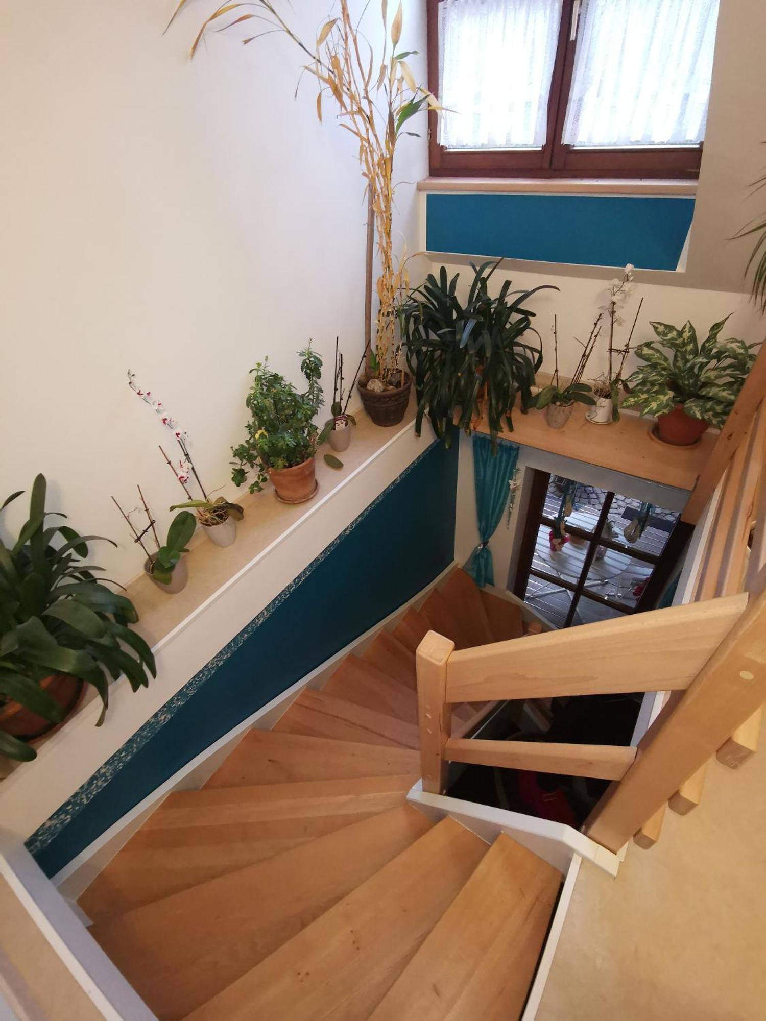 Studio Und Apartment Auf Dem Pferdehof Burgpreppach Esterno foto