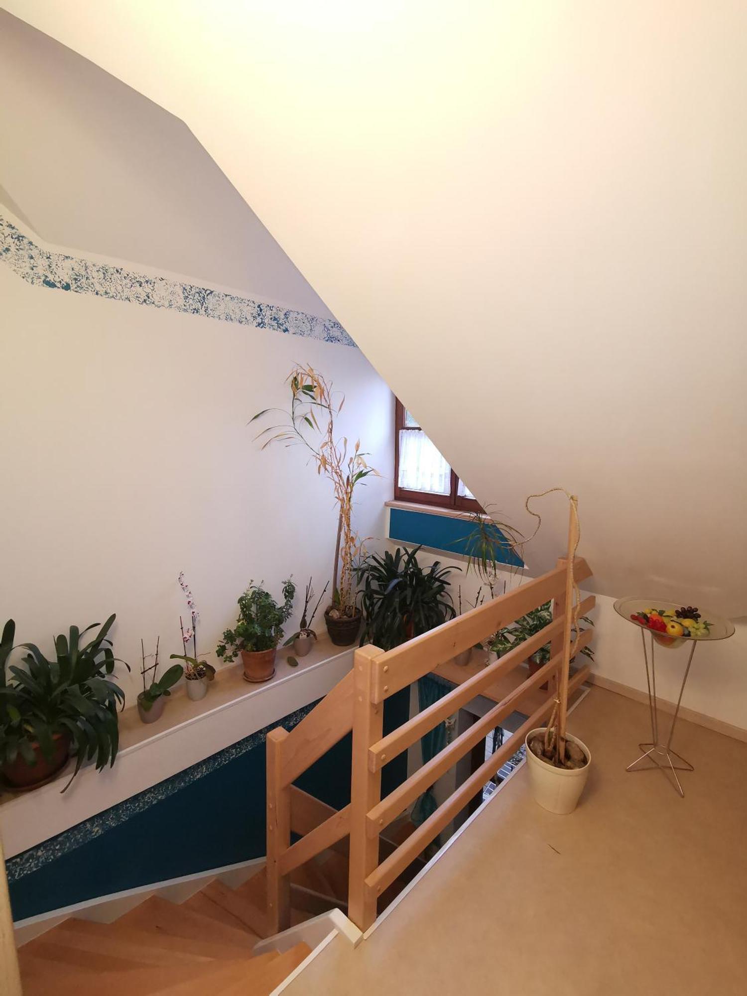 Studio Und Apartment Auf Dem Pferdehof Burgpreppach Esterno foto
